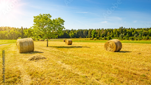 Fotografia Landscape background - Hay bales on a field and blue sky with bright sun and app