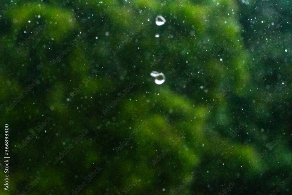 water drops on the green background