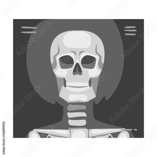 X-ray Film of Front Viewed Skull Vector Illustrated Image for Educational Purpose