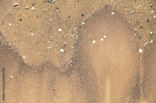 Natural background, wet sand with small seashells