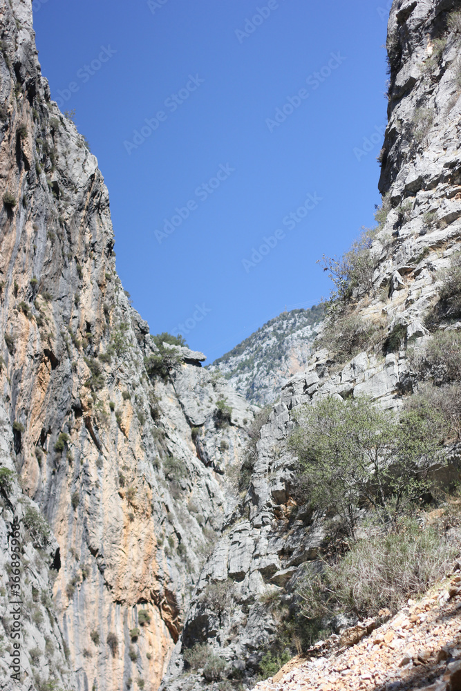 Alanya, TURKEY - August 10, 2013: Travel to Turkey. Green hills. The mountains. Rocks, wildlife of Turkey. Forest and clear blue sky.