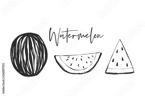 Watermelon half, slice, stripes. Black line fruits illustration set. Graphic vector sketch in hand drawn style. Fresh tropical elements on white background.