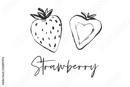 Cut strawberry and strawberry. Black line fruits illustration set. Graphic vector sketch in hand drawn style. Fresh tropical elements on white background.