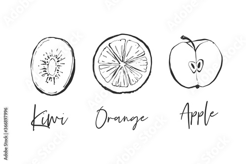 Set of fruit elements: kiwi, apple slice, orange fruit. Black line fruits illustration set. Graphic vector sketch in hand drawn style. Fresh tropical elements on white background.