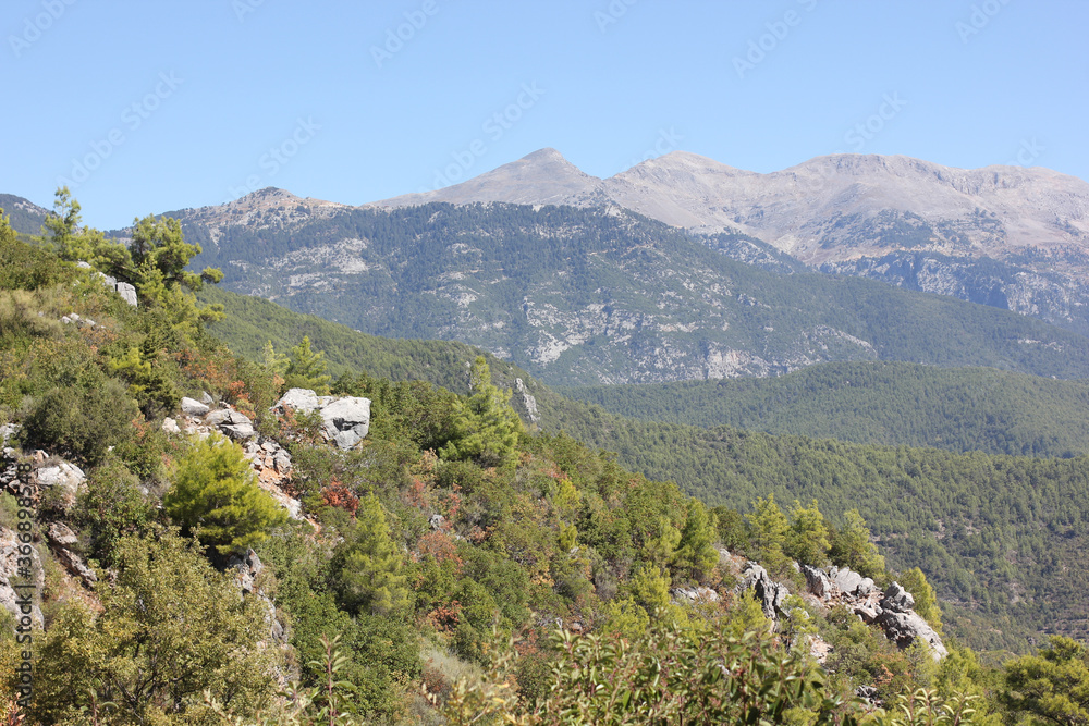 Alanya, TURKEY - August 10, 2013: Travel to Turkey. Helene Hills. Mountains in the background in the distance. Rocks, wildlife of Turkey. Forest and clear blue sky.