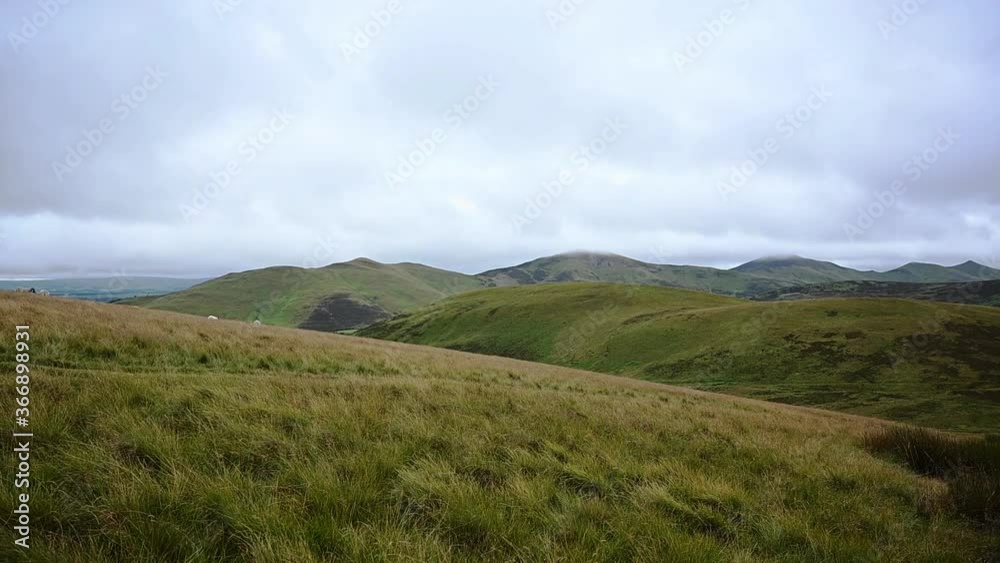 Sheep grazing in the distance in the Pentland Hills, Scotland Sheep grazing in the distance in the Pentland Hills, Scotland