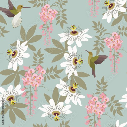 Blooming wisteria,passionflowers and hummingbirds on a gray background.