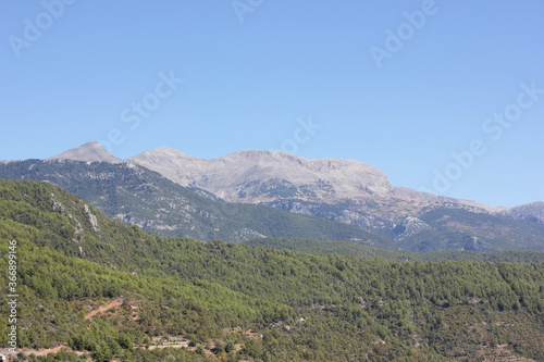 Alanya, TURKEY - August 10, 2013: Travel to Turkey. Helene Hills. Mountains in the background in the distance. Rocks, wildlife of Turkey. Forest and clear blue sky.