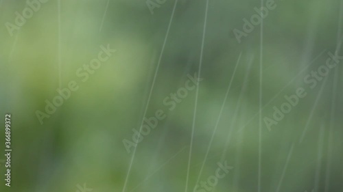 Focus on the Raining with green background