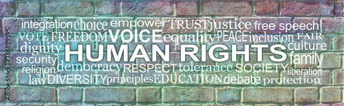 Words associated with Human Rights Brick Wall Word Cloud - rustic grunge multicoloured brick wall background with a HUMAN RIGHTS word tag cloud 