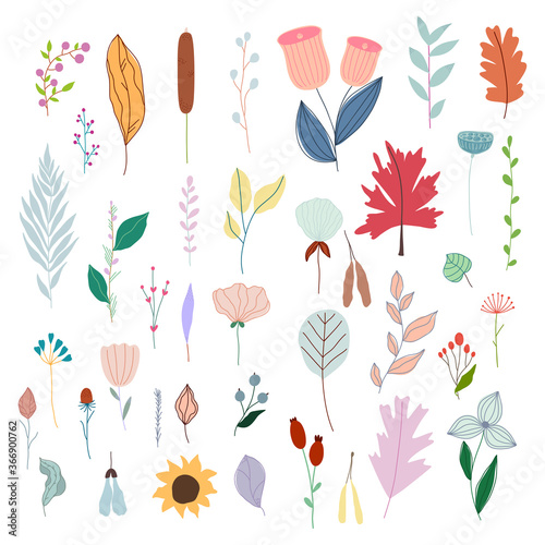 Set of hand drawn simple pastel vector flowers and plants.