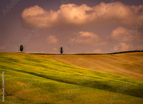 Rural landscape in Tuscany Italy