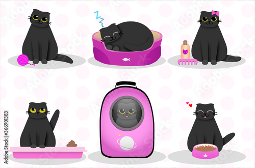 Black cat, mascot animal - cute fat kitten, pet shop character set