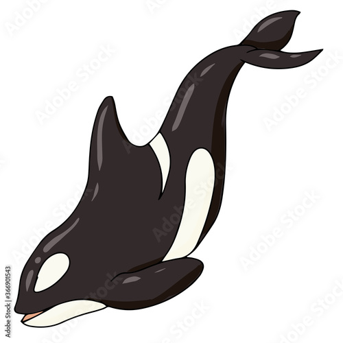 Set of sea animals color cartoon for web and mobile design. vector illustration isolated on white background. killer whale