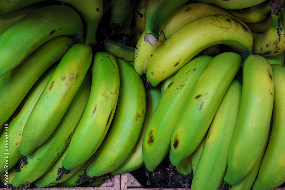 Green bananas on the market