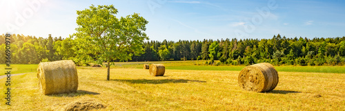 Fotografia Landscape banner wide panoramic panorama background - Hay bales / straw bales on