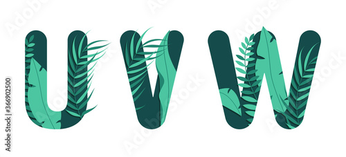 Vector letters U V W of the alphabet. Leaf design.