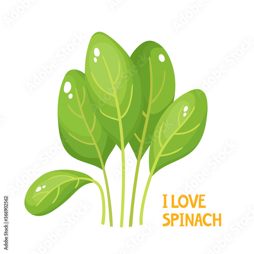 Cartoon bright spinach leaves isolated on white