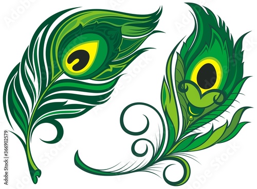 Stylized, vector peacock feathers. Set of  feathers