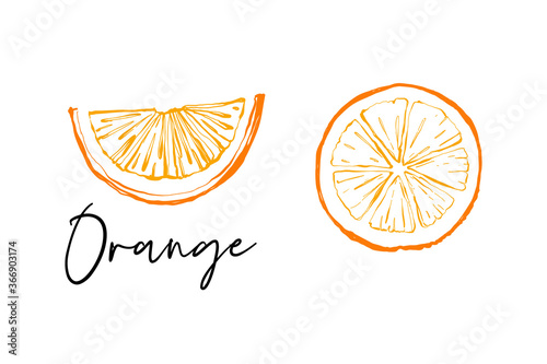 Orange cut and orange circle. Fruit colorful line illustration elements. Cute vector pattern. Cartoon vintage tropical print on white background