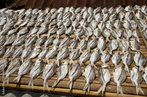 Séchage de poissons sur un toit de Nosy Komba - Madagascar photo