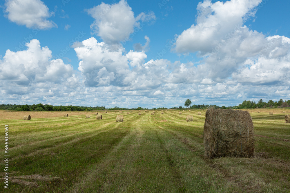 plant, view, village, background, natural, grow, golden, attraction, sightseeing, wallpaper, landscape, blue, outdoor, countryside, nature, meadow, land, grass, agriculture, summer, field, sky, farm, plant, view, village, background, natural, grow, golden, attraction, sightseeing, wallpaper, landscape, blue, outdoor, countryside, nature, meadow, land, grass, agriculture, summer, field, sky, farm,