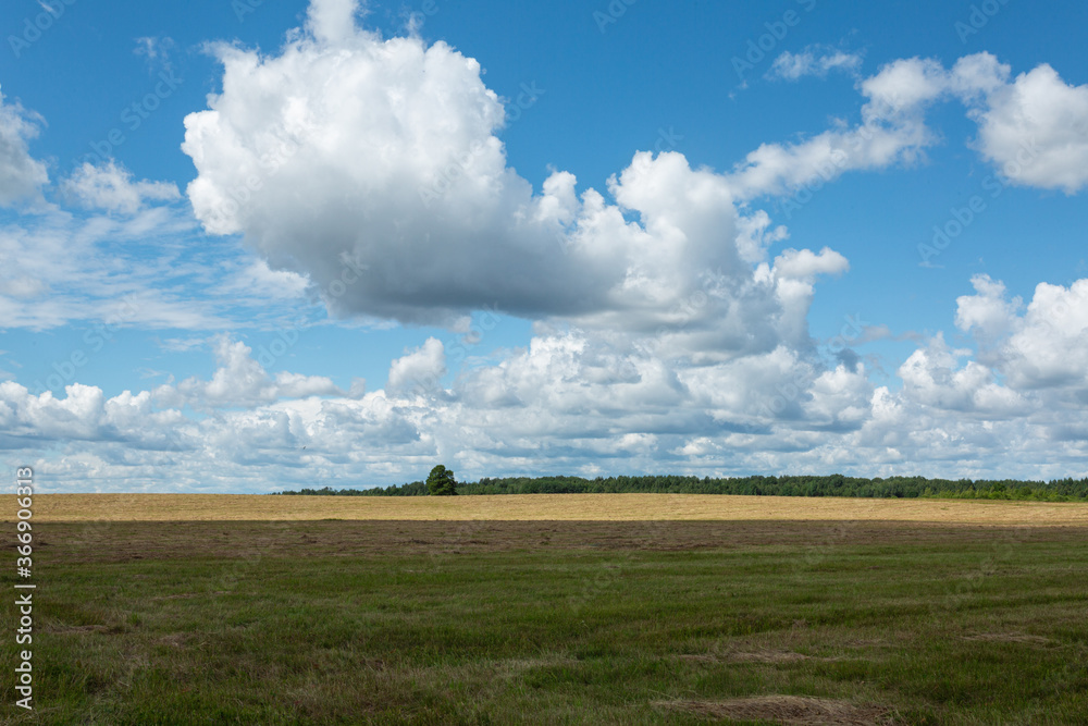 Clouds over the beautiful field with yellow stacks on a sunny mid-summer day in Pskov region, Russia. Horizontal image.
