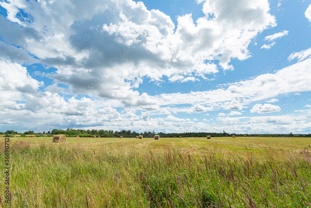 Farming in Russia: scenic countryside with green lane and stacks in the middle of summer. Horizontal image.