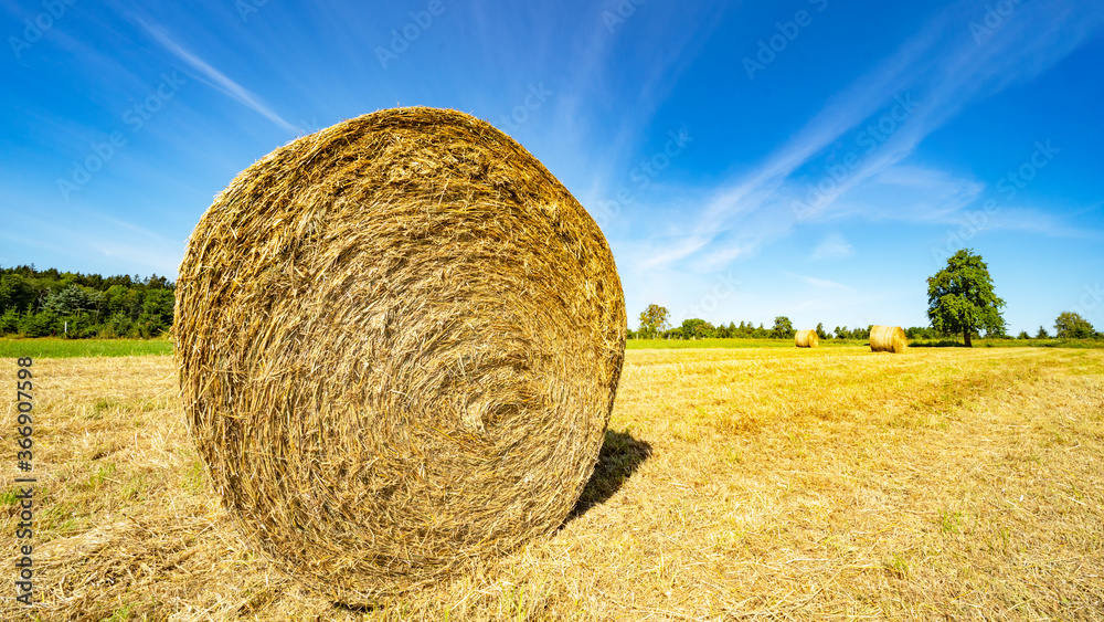 Landscape wide background - Hay bales / straw bales on a field and blue sky with bright sun and apple tree in the summer in Germany Landscape wide background - Hay bales / straw bales on a field and blue sky with bright sun and apple tree in the summer in Germany