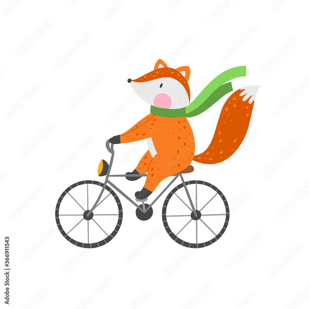 Fox on a bike hotsell