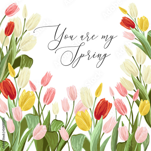 You are my spring quote, pink, white, yellow, red tulips bouquet. Spring floral background print with blossom vector flowers. Simple digital watercolor drawing. Abstract illustration. Vintage graphic