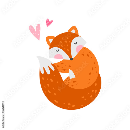 Sleeping fox vector illustration. Cute fox clipart isolated on white background. Forest animal illustration