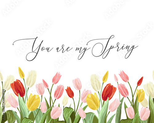 You are my spring quote and colorful tulips. Spring horizontal border seamless pattern. Floral background print with blossom vector flowers. Repeatable digital watercolor illustration
