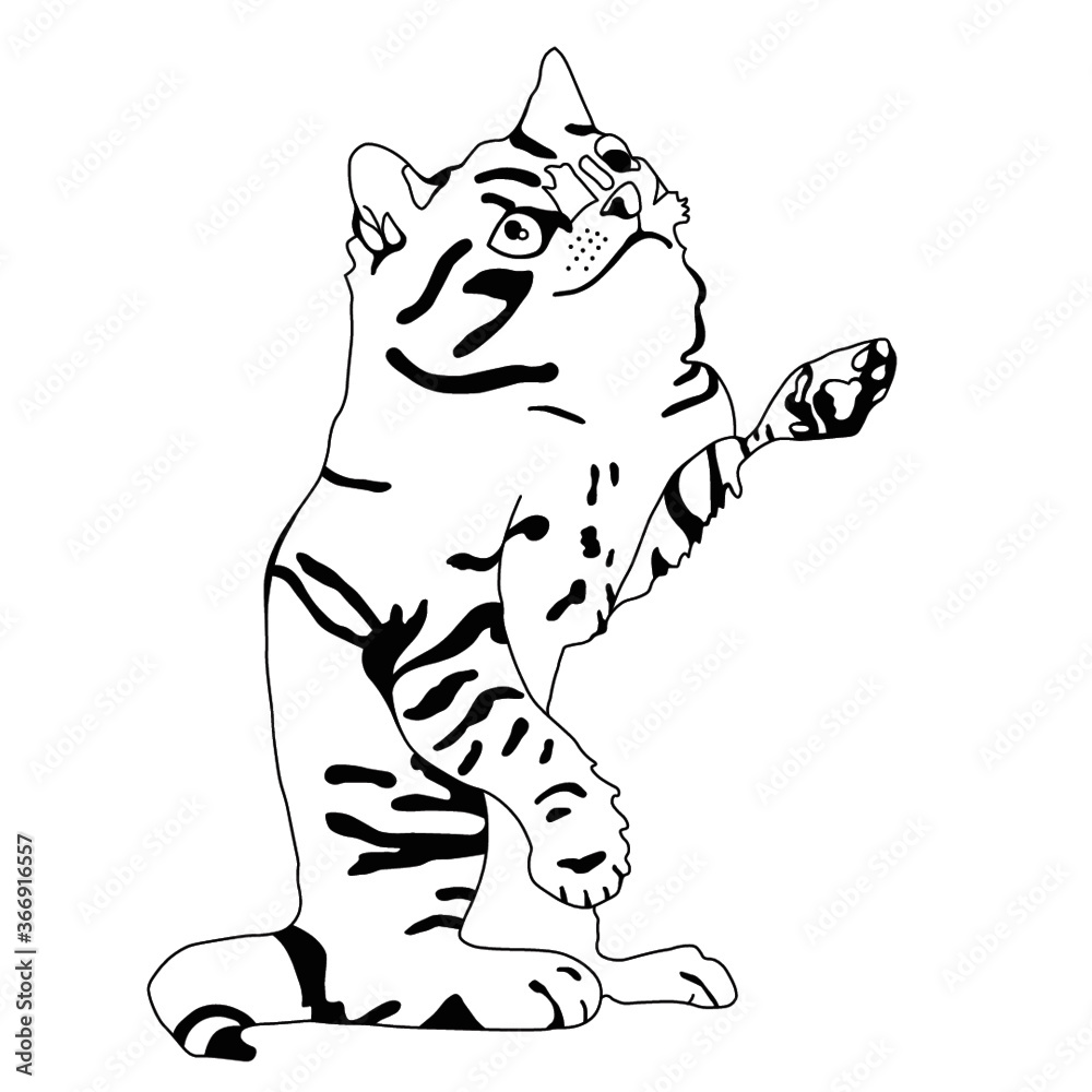 Fototapeta premium illustrated tiger cat