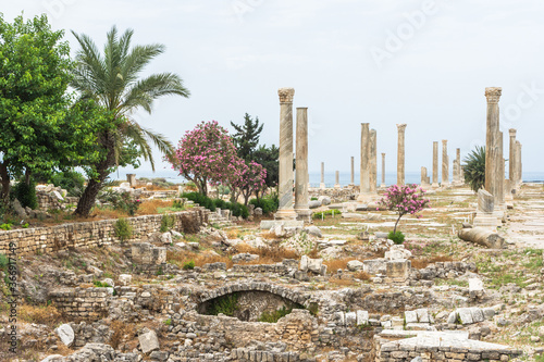 Photos Roman ruins Colonnade in Al Mina archaeological site, Tyre, Lebanon