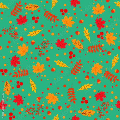 Autumn leaves seamless pattern with rowan  maple  birch and oak. Autumn leaf design. Foliage of forest leaves vector. Red  Green  Brown and Yellow Falling Fall Leave