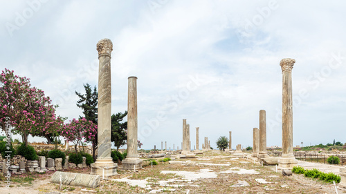 Roman ruins Colonnade in Al Mina archaeological site, Tyre, Lebanon