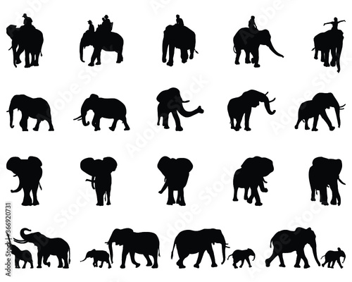 Black silhouettes of elephants on a white background