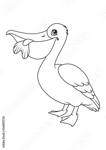 Pelican with fish in its beak coloring page