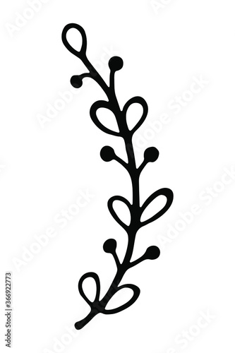 Single branch with leaves in ink Isolated on white background. Hand drawn vector decorative element in doodle style for wedding invitation and decoration, postcard, flyer, banner or website