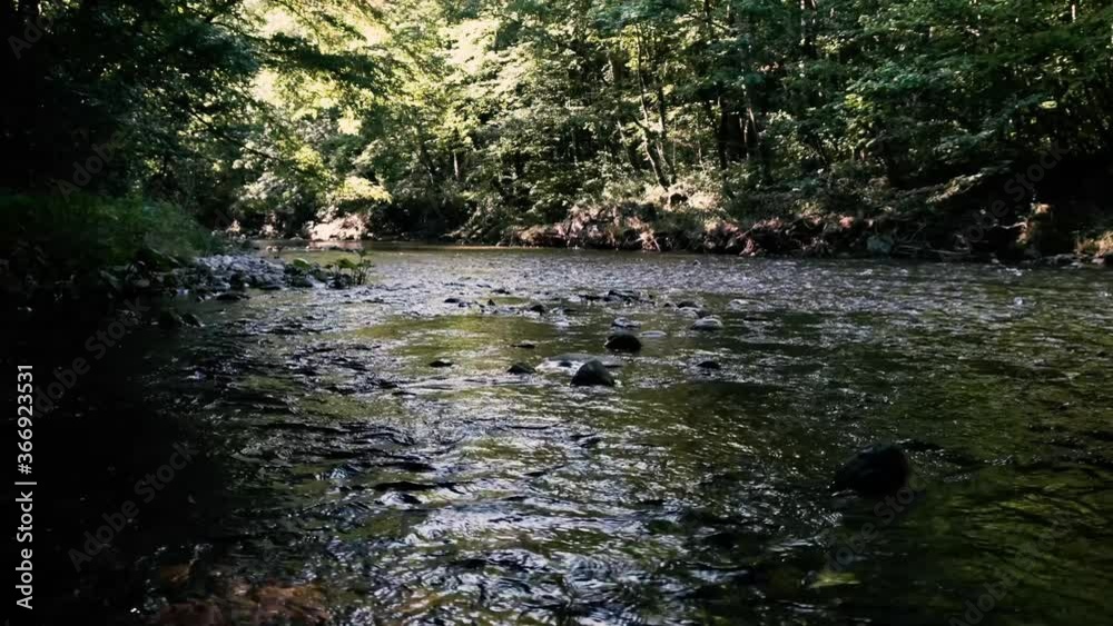 beautiful stream in green forest.summer time . beautiful stream in green forest.summer time .