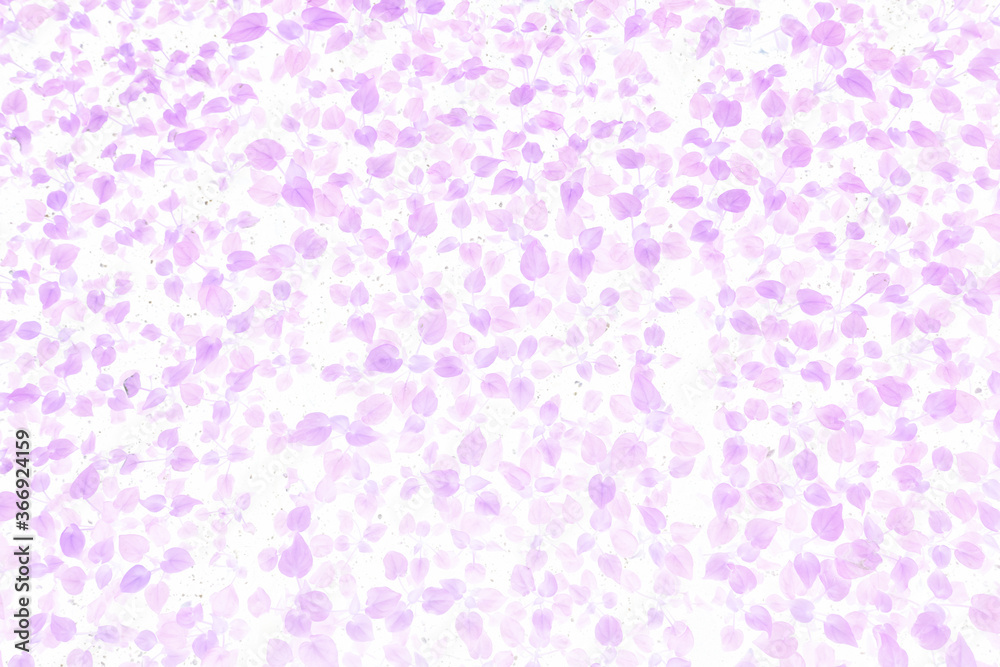 background leaf pattern pink, purple. background leaf pattern pink, purple.