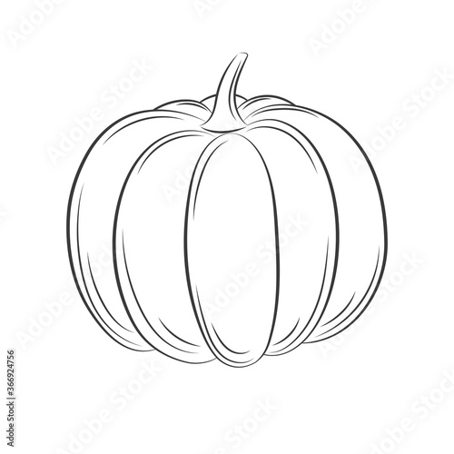 Pumpkin engraving line icon, outline vector sign isolated on white background.  Hand drawn vector retro style illustration. Farm market product.