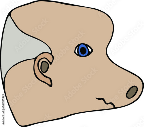 A grandfather with grey hair and a receding hairline