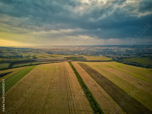 Aerial panorama over healthy green crops in patchwork pasture farmland. Magestic sunset.
