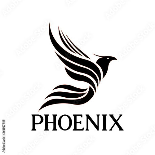phoenix logo design vector. Birds logo concept vector template