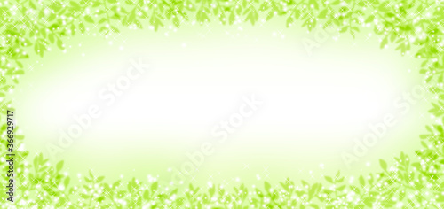 Leaves and glowing light on green background