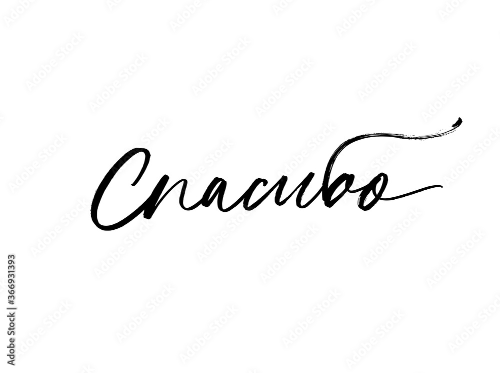 Thank you ink brush vector lettering. Modern phrase handwritten vector calligraphy. Thank you in Russian. Black paint lettering isolated on white background. Postcard, greeting card, t shirt print. Thank you ink brush vector lettering. Modern phrase handwritten vector calligraphy. Thank you in Russian. Black paint lettering isolated on white background. Postcard, greeting card, t shirt print.
