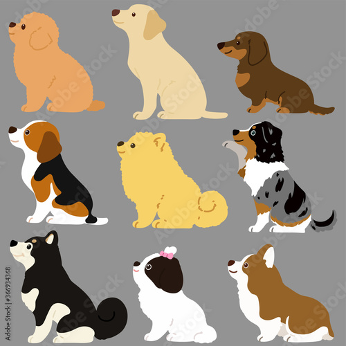 Set of flat colored cute and simple dog sitting in side view