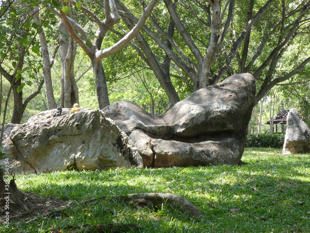 Rocks and trees in the park
